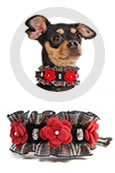 "Almrausch" Halsband für Hunde - Trachten Hundehalsband