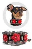"Almrausch" Halsband für Hunde - Trachten Hundehalsband