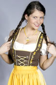 Midi Dirndl braun/gelb