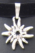 Dirndlschmuck - Swarovski Edelweiss am Samtband